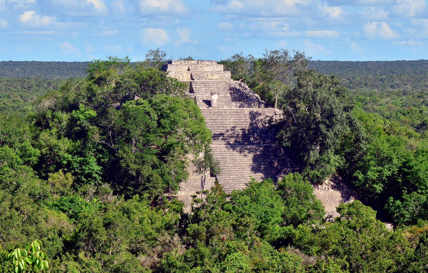 Comment une immense cité maya a été découverte après une simple recherche sur Google